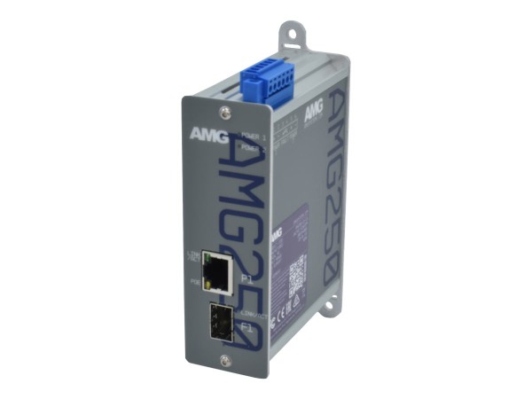 AMG SYSTEMS AMG SYSTEMS Medienkonverter AMG AMG250-1GBT-1S-P90 retail