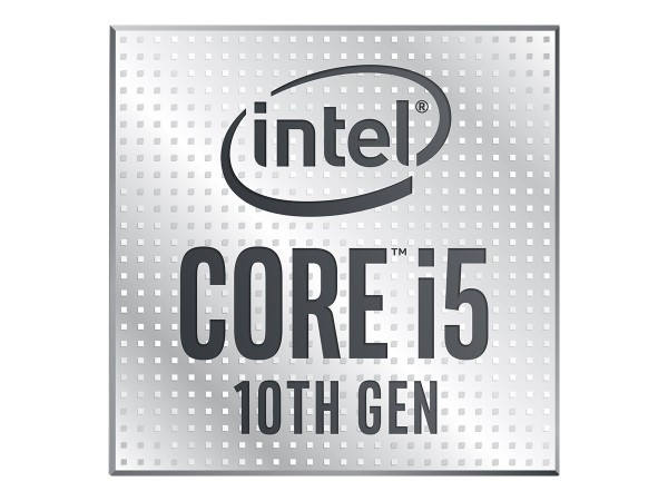 INTEL Core i5-10600KF S1200 Tray CM8070104282136