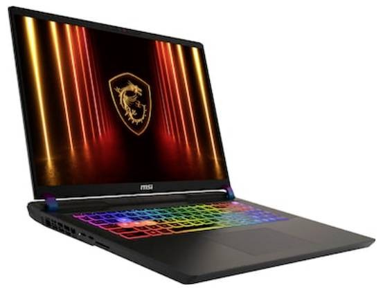 MSI MSI Vector 17 HX A2XWHG-041 43,2cm (17") Ultra 9 275HX 32GB 2TB W11