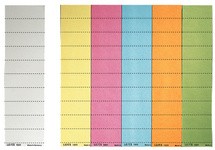 LEITZ Blanko-Beschriftungsschildchen, (B)60 x (H)21 mm