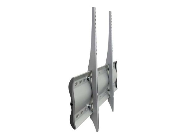 ERGOTRON TV Wandhalterung WM XL in Silber - Wandhalterung 60-602-003