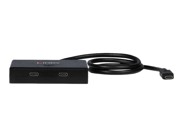 LINDY 2 Port USB 3.2 Gen 1 Typ C Switch - bidirektional 43329