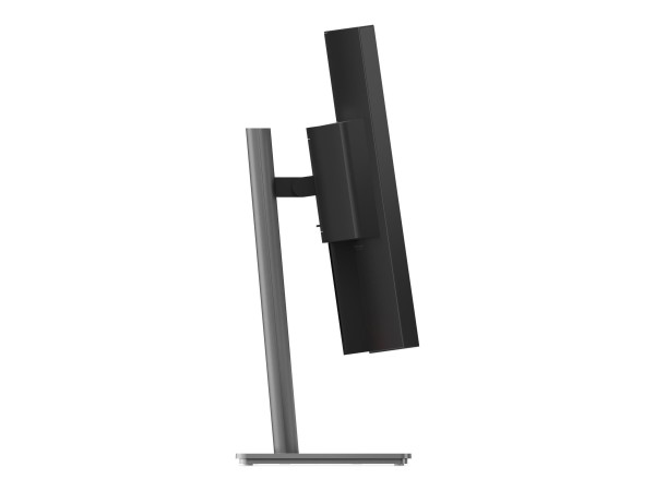 LENOVO LENOVO ThinkVision P40WD-40 100,8cm (39,7")