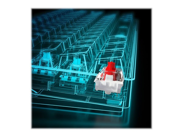 SHARKOON SGK50 S4 bk Kailh Red PT 4044951034635