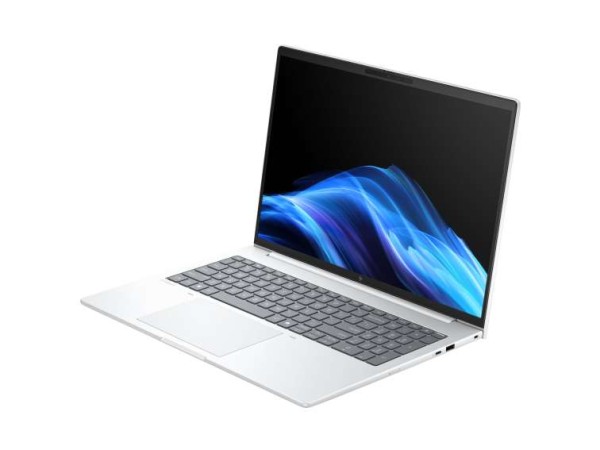 HP I HP EliteBook 8 G1i 40,6cm (16") Ultra 5 225U 16GB 1TB W11P DL5W9ET#ABD