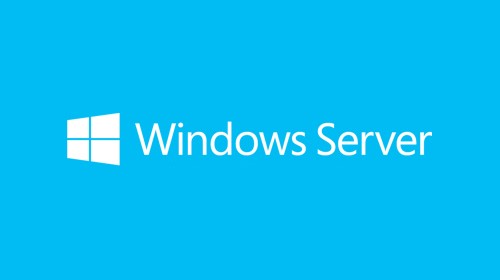 MICROSOFT MICROSOFT MS Windows Server Standard 2019 64Bit English 1 License DVD 16 Core License 5 Client (EN)