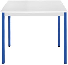 SODEMATUB Universaltisch 76RGBL, 700 x 600, lichtgrau/blau