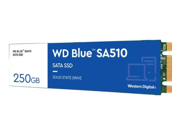 WESTERN DIGITAL WD Blue SA510 250GB WDS250G3B0B