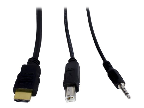 INTERTECH INTERTECH INTER-TECH KVM KVM-AS-21HA HDMI line in 2x HDMI 4x 3,5mm 3pol. Klinke 1 Power line out 2x