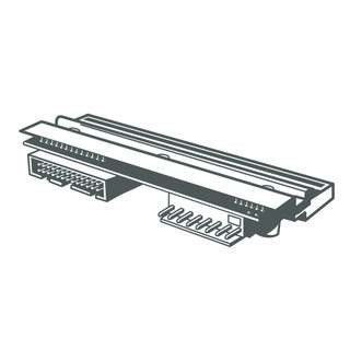 ZEBRA Ersatzdruckkopf, 8 Punkte/mm (203 dpi), 10 Stück Ersatzdruckkopf, DT, P1115687