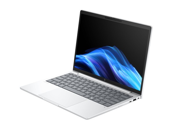 HP HP EliteBook 8 G1a 33,8cm (13,3") AMD Ryzen 5 230 16GB 512GB W11P