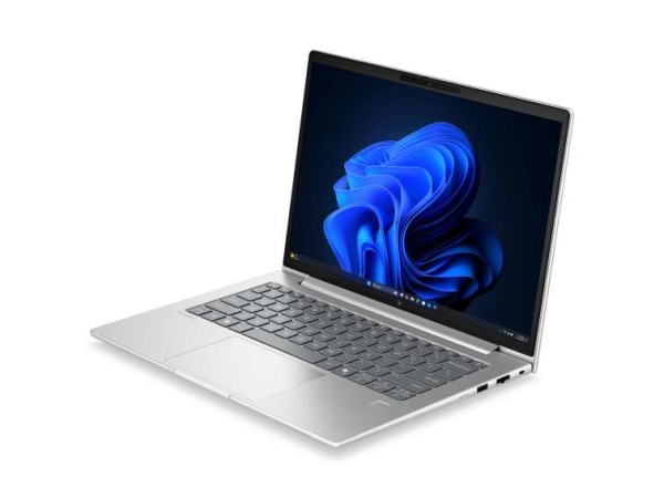 HP EliteBook 6 G2a 35,6cm (14") Ryzen 5 230 16GB 512GB W11P E02FCET#ABD