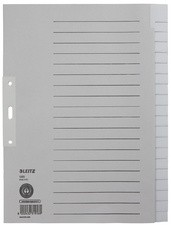 LEITZ Tauenpapier-Register, blanko, A4, 20-teilig, grau