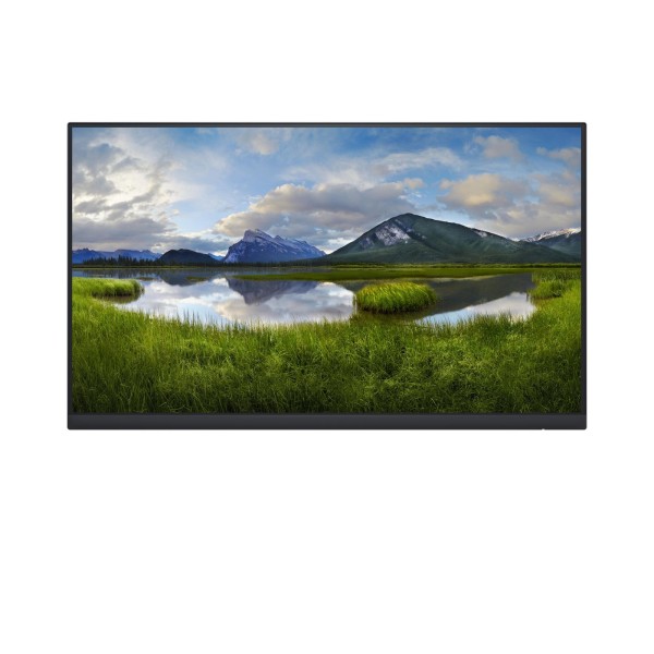 DELL DELL P2422HE ohne Standfuß 61cm (24")