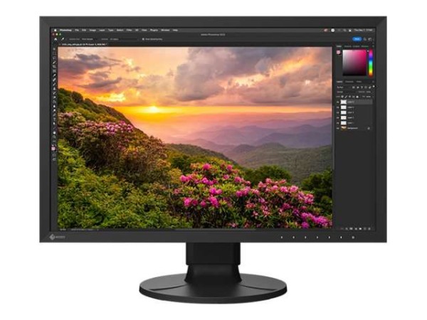 EIZO CS2400S 61cm (24") CS2400S