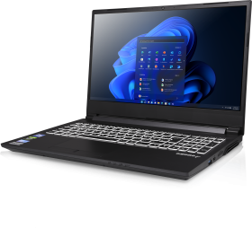 EXONE EXONE go Expert 1585 39,6cm (15,6") i7-11800H 16GB 500GB W11P
