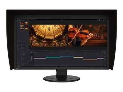 EIZO ColorEdge CG3100X 78,7cm (31") CG3100X