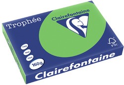 Clairalfa Multifunktionspapier Trophée, A3, 160g/qm,hellgrau