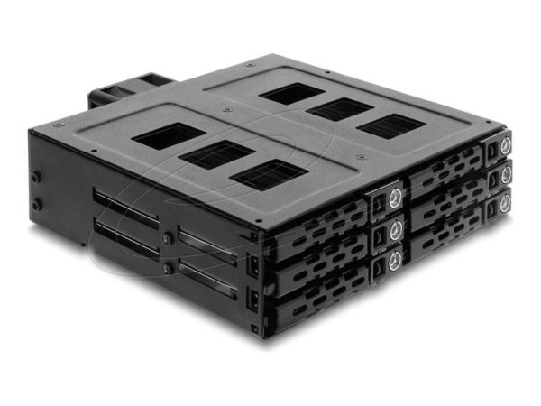 DELOCK 13,34cm 5,25Zoll Wechselrahmen für 6 x 6,35cm 2,5Zoll SATA oder SAS 47142