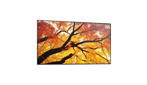 SHARP SHARP MS M322 81cm (32")