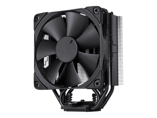 NOCTUA NH-U12S chromax.black CPU Kühler Sockel 2011/115X/AM2/AM3/AM4/FM1/FM NH-U12S CHROMAX.BLAC
