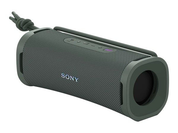 SONY SRSULT10H BT-Lautsprecher, Forrest-Gray SRSULT10H.CE7