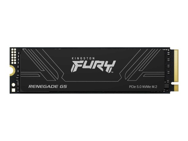 KINGSTON KINGSTON FURY Renegade G5 4TB