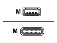 CISCO SYSTEMS - USB-Kabel - USB (M) bis USB-C (M) - 4 m - für Webex Room Ki CAB-USBC-4M-GR=