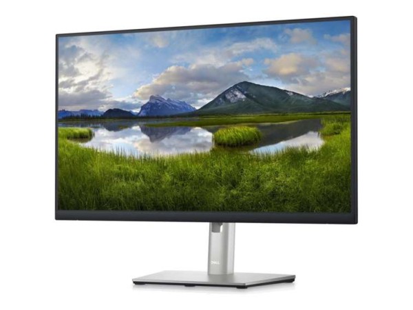 DELL 24 USB-C Hub P2423DE -60,5cm (23,8") DELL-P2423DE