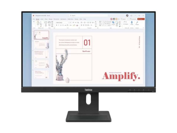 LENOVO ThinkVision E24-40 60,5cm (23,8") 64BAMAT1EU