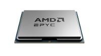 AMD AMD EPYC 9755 SSP5 Tray
