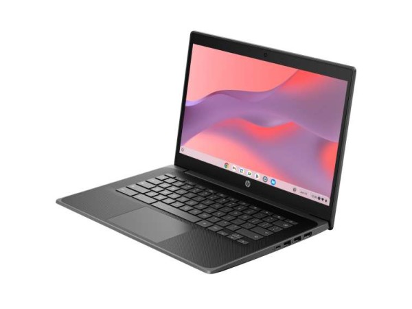 HP Chromebook Fortis 14 35,6cm (14") N100 8GB 64GB ChromeOS 5P9P8EA#ABD