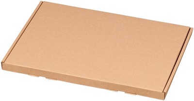 SMARTBOXPRO Großbrief-Versandkarton, DIN A4, braun
