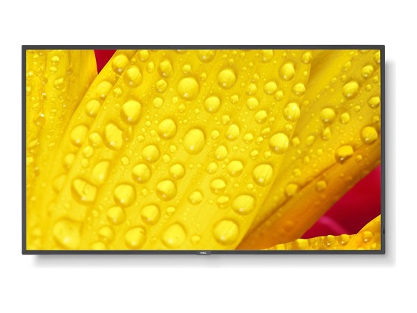 NEC MS M551-2 140cm (55") 60006085