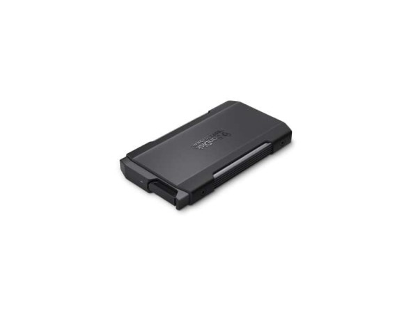 SANDISK Pro Blade M.2 SSD Transport 1TB SDPM2NB-001T-GBAND