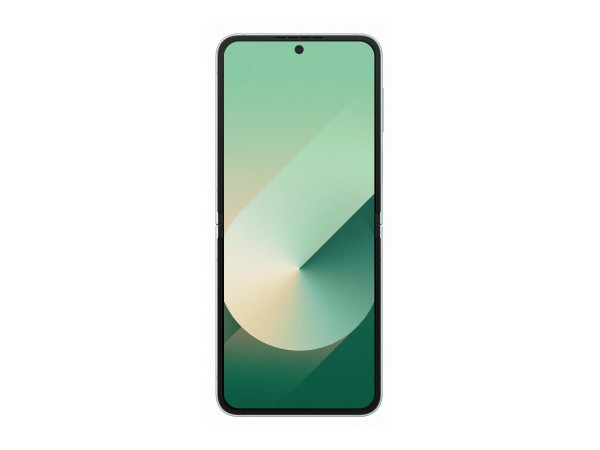 SAMSUNG GALAXY Z Flip6 5G mint 256GB SM-F741BLGGEUB