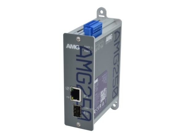 AMG SYSTEMS AMG SYSTEMS Medienkonverter AMG AMG250-1FAT-1S-P90 retail