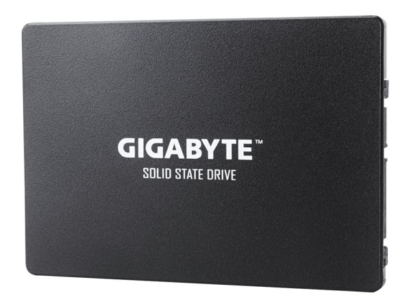 GIGABYTE GIGABYTE GP-GSTFS31256GTND 256GB