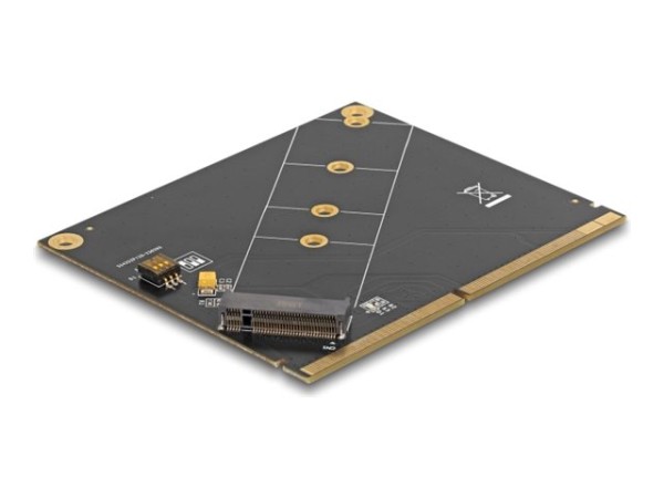 DELOCK Konverter MXM zu M.2 NVMe Key M Slot 61057