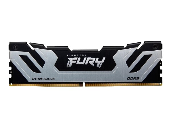 KINGSTON FURY Renegade Silver XMP 24GB KF584CU40RS-24