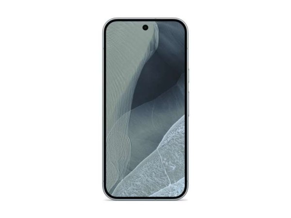 GOOGLE Pixel 11 Pro 5G 12RAM 256GB fog GA12134-GB