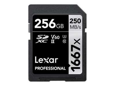 LEXAR LSD256CB1667 256GB LSD256CB1667