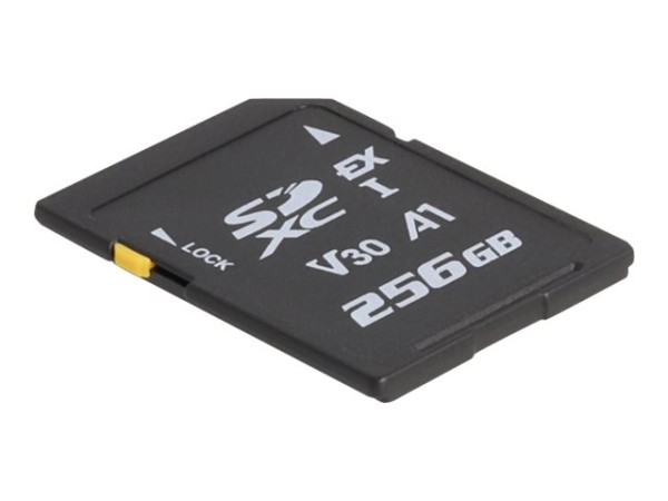 DELOCK DELOCK 54091 256GB