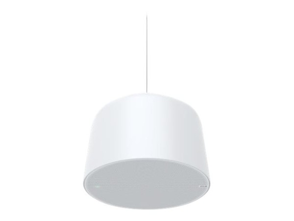AXIS AXIS C1510 NETWORK PENDANT SPEAKER AXIS C1510 NETWORK PENDA (02389-001)