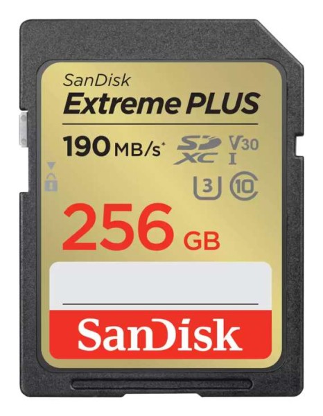WESTERN DIGITAL EXTREME PLUS 256GB SDSDXWV-256G-GNCIN