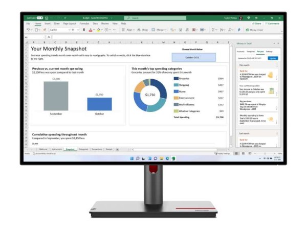 LENOVO ThinkVision P27h-30 68,58cm (27") 63A1GAT1EU