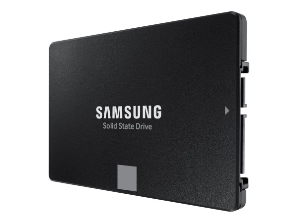 SAMSUNG SAMSUNG 870 EVO Basic 500GB