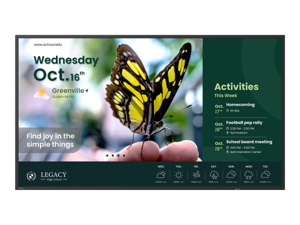 BENQ BENQ ST6504 165,1cm (65")