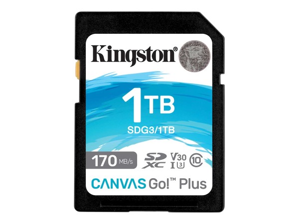 KINGSTON KINGSTON Canvas Go Plus C10 1TB