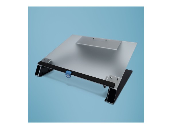 R-GO TOOLS R-GO TOOLS R-Go Dokumentenhalter, lesen und schreiben, gefrostetes Acry